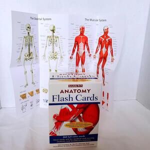 Barron's Anatomy Flash Cards and Poster Boxed Set by Dr Kurt Albertine, Ph.D B